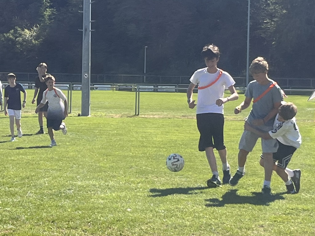 Gemeinsames Fussballspiel auf der Wiese